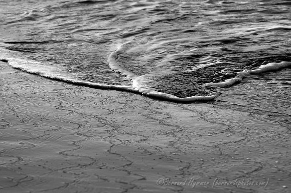 D300_57828