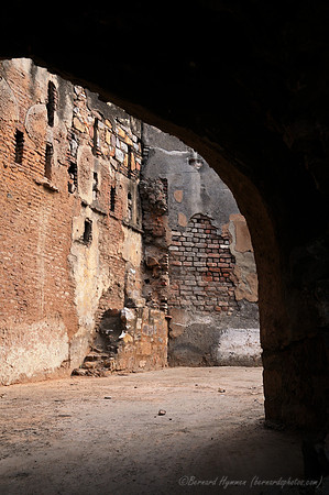 D300_68584