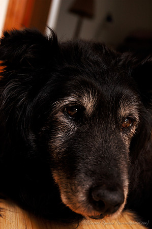 D70_21619.jpg