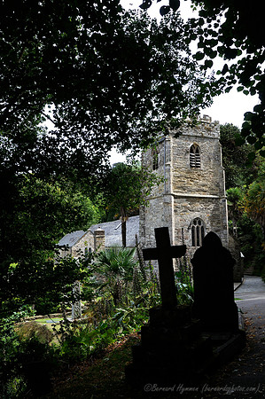 D300_100696