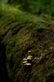 D70_12329