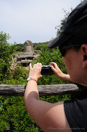 D300_47281.jpg