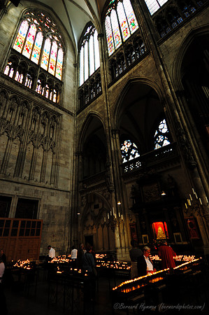 D70_17561