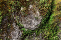 D300_95986