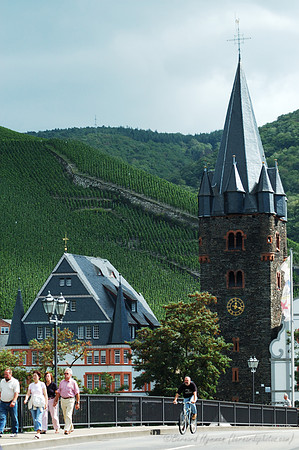 D70_17813
