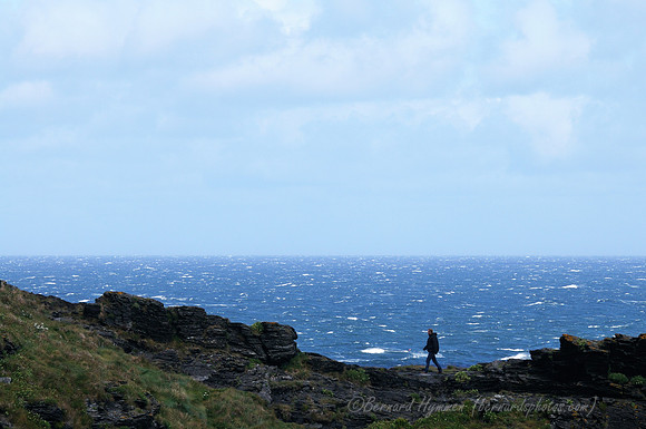 D300_100794
