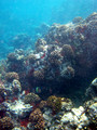 SD800_58246