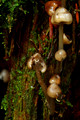 D70_12309