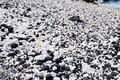 D300_92197