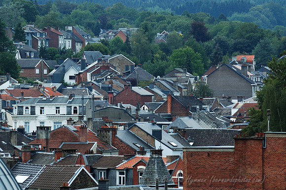 D70_17631