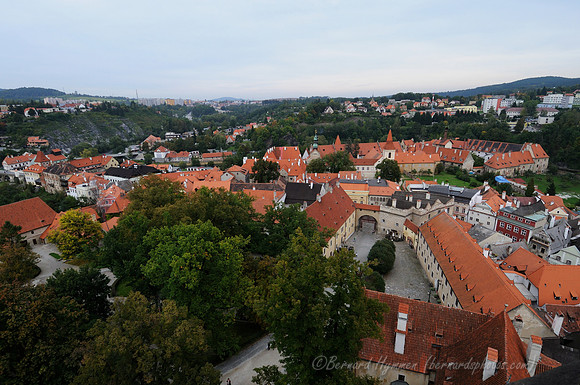 D300_74001
