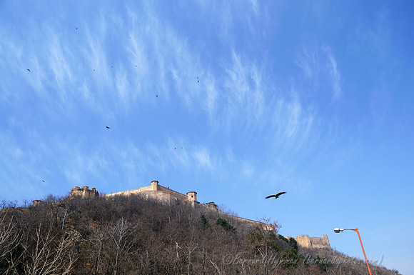 D300_70452