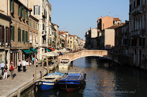 D300_45768.jpg