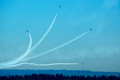 D70_11454