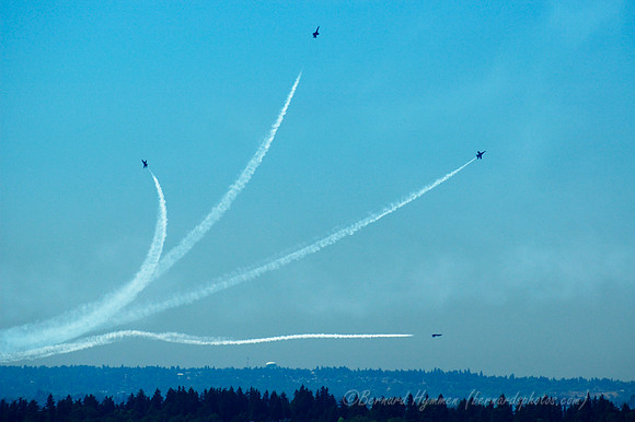 D70_11454
