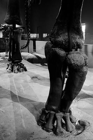 D300_64208