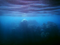 SD800_58101