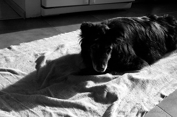 D70_21860.jpg