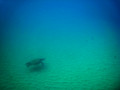SD800_57904