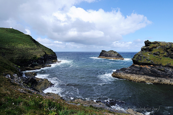 D300_100790