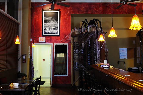 D300_50103.jpg