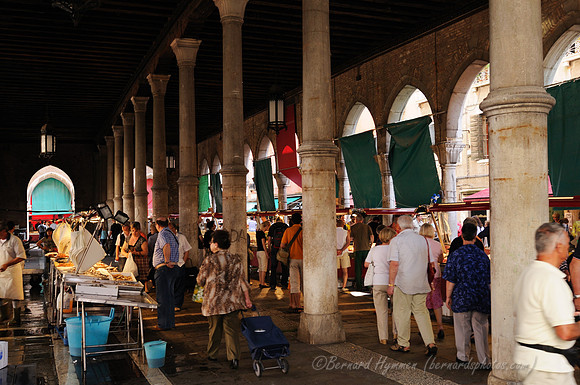 D300_45403.jpg