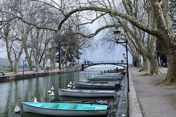 D300_84260