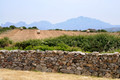 D300_47236.jpg
