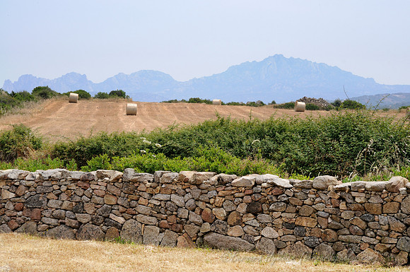 D300_47236.jpg
