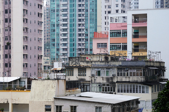 D300_70932