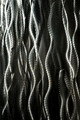 D70_11717