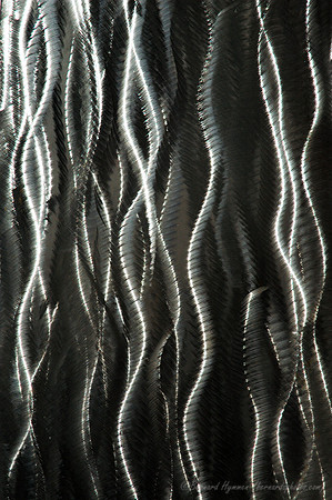 D70_11717