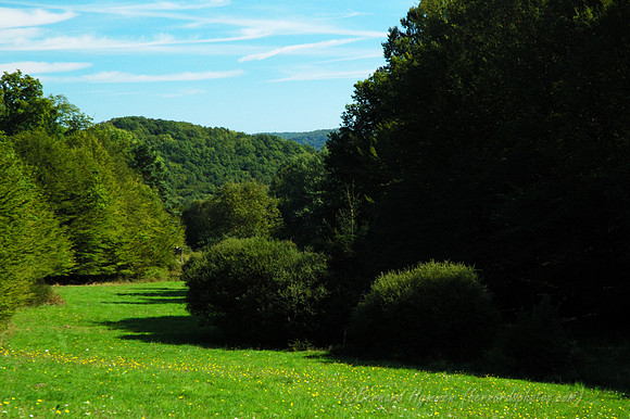 D70_18632
