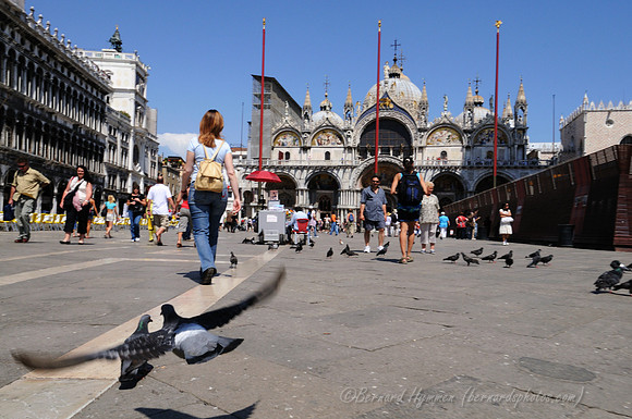 D300_45556.jpg