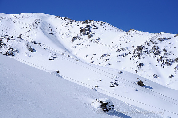 D300_70050