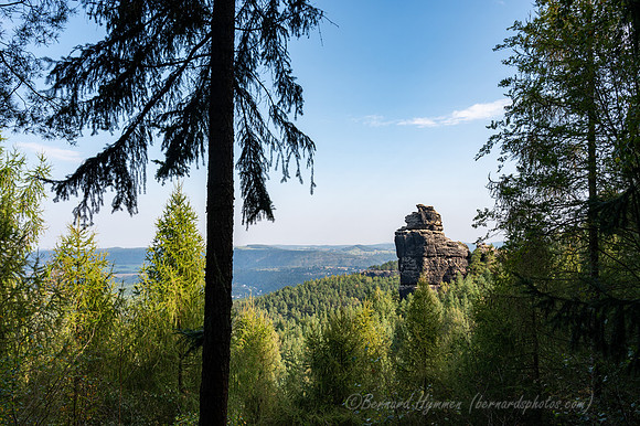 Z6_186838
