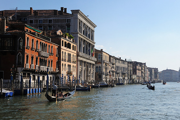 D300_45726.jpg