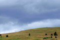 D300_96242
