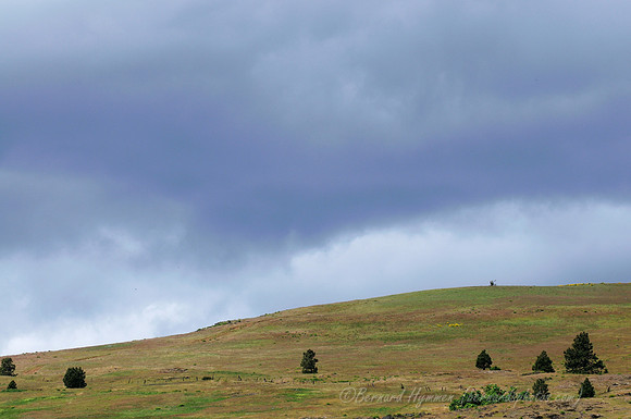 D300_96242