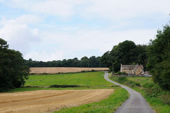 D300_99788