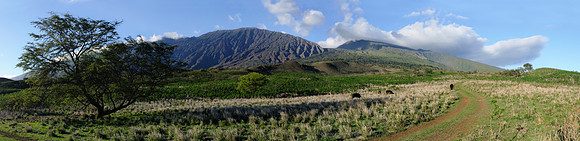 pano_D300_58547-58551