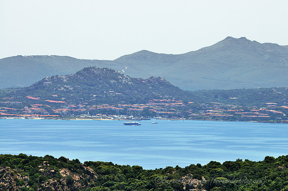 D300_45889.jpg