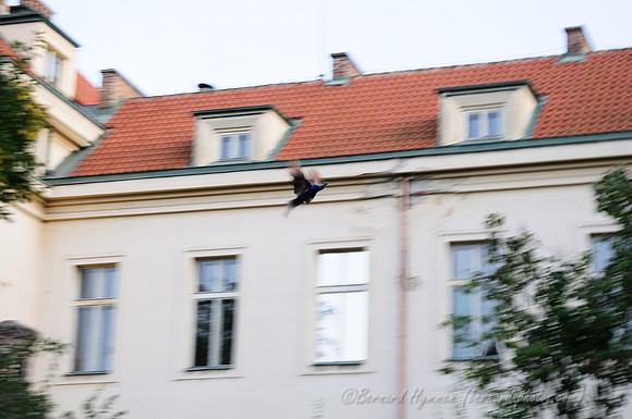 D300_74200