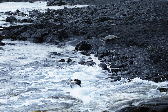 D300_92403