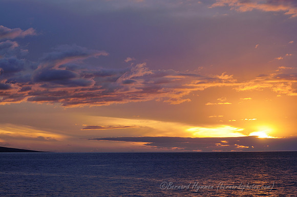 D300_58037