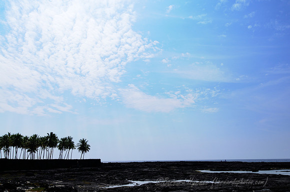 D300_92314