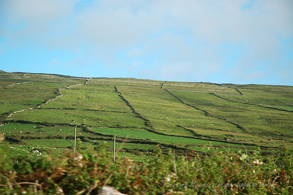 D70_059892004-08-23_01