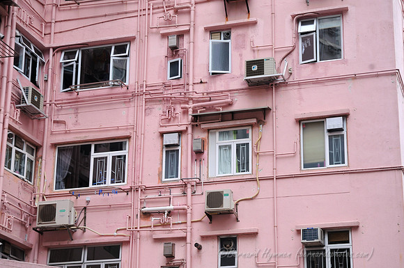 D300_70919