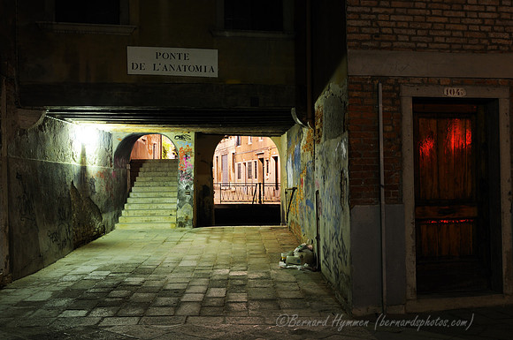 D300_45342.jpg
