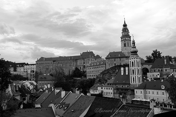 D300_74110